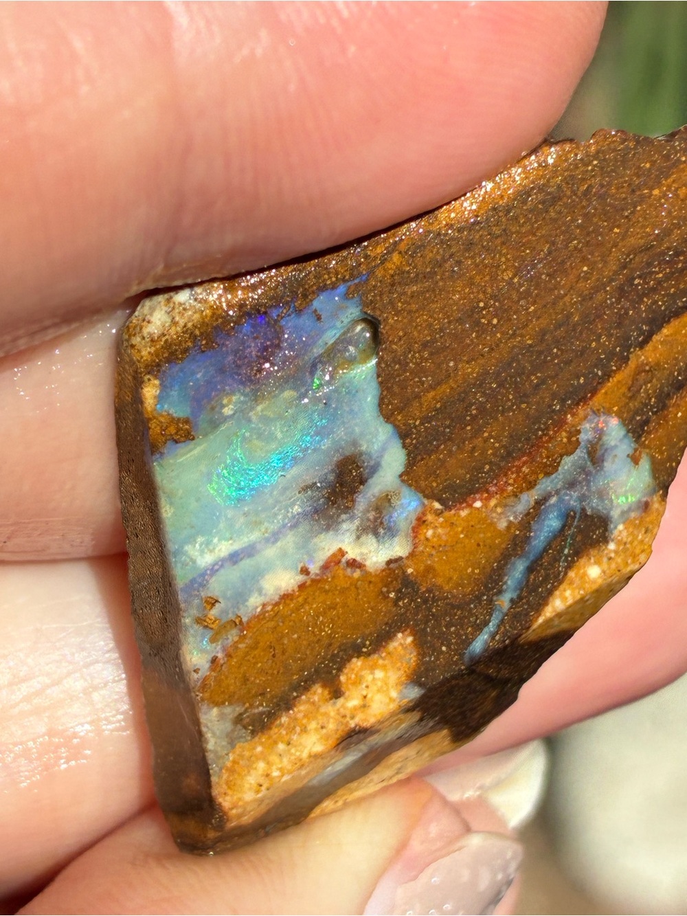 Beautiful 43ct Australian Boulder Opal Rough Loose Specimen P